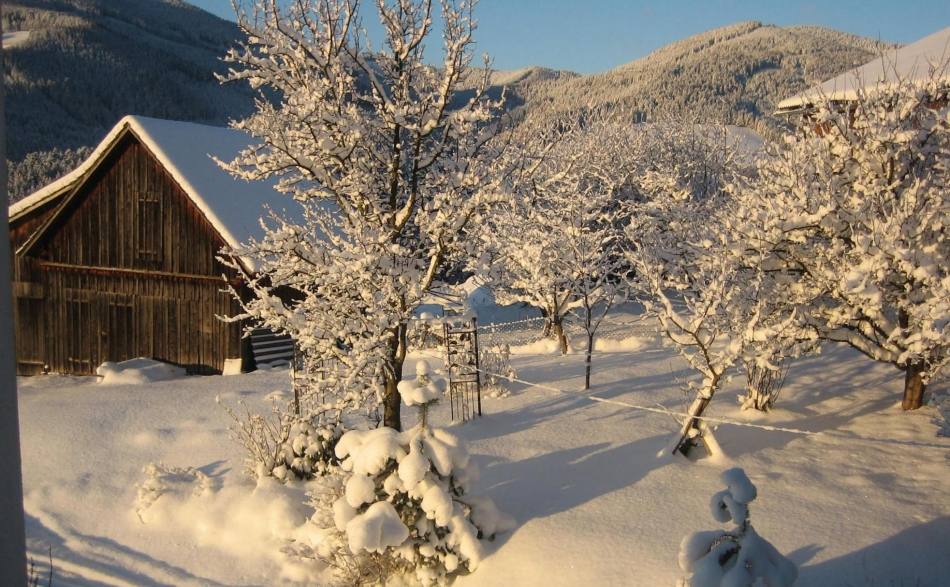 Winter am Froihof in Fischbach