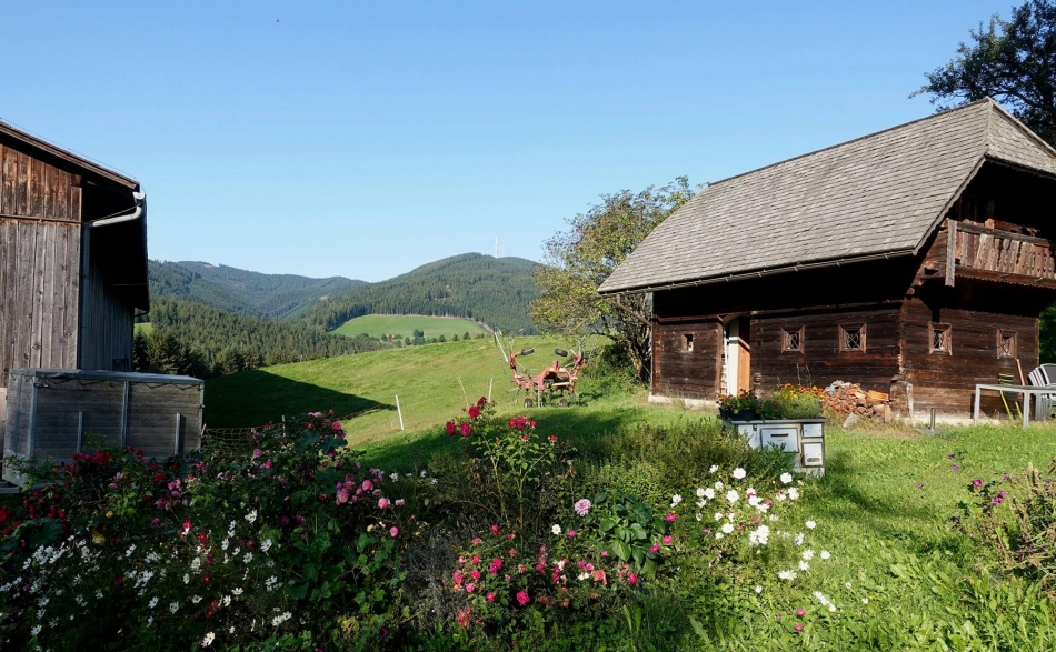 Der Bauernhof im Sommer am Froihof