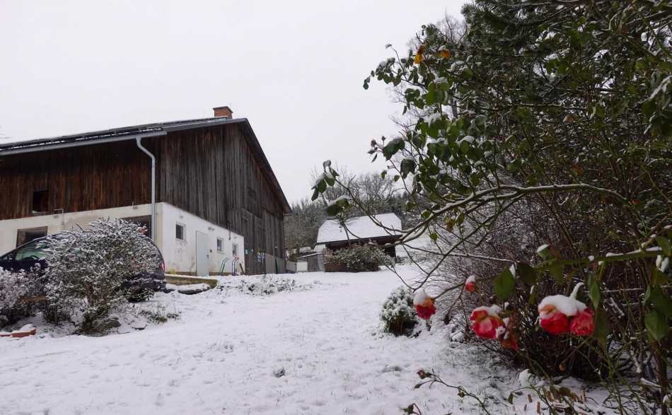 Winter am Froihof in Fischbach