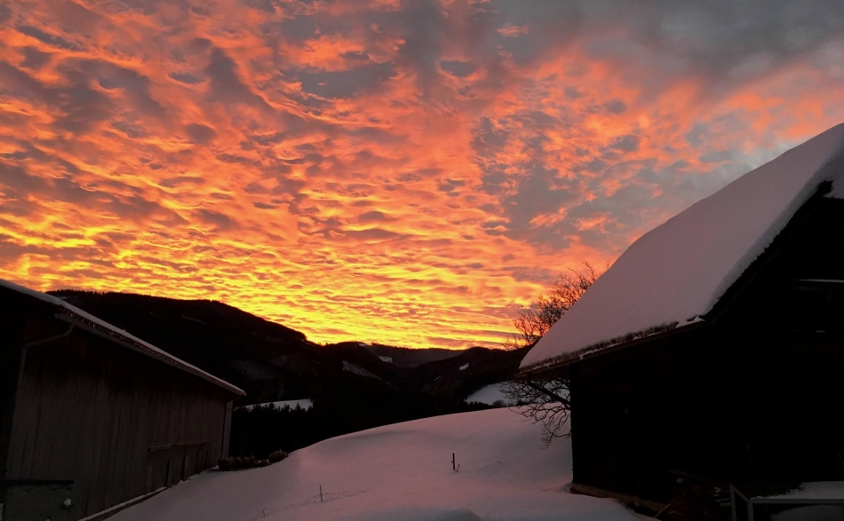 Winterstimmung am Froihof in Fischbach